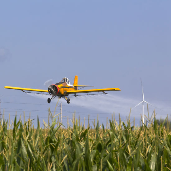 
Crop dusting affects not only the crops intended to be sprayed, but everything windborne particles of pesticide touch, including neighboring fields, wild areas, animals and people nearby.
